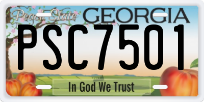 GA license plate PSC7501