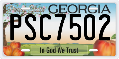 GA license plate PSC7502