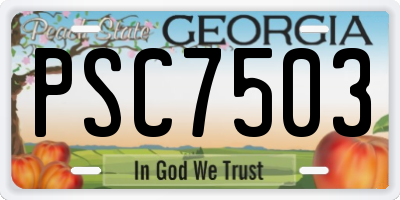 GA license plate PSC7503