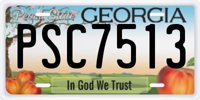 GA license plate PSC7513