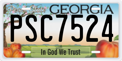 GA license plate PSC7524