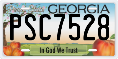 GA license plate PSC7528
