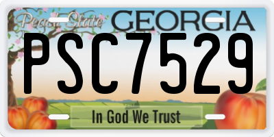 GA license plate PSC7529
