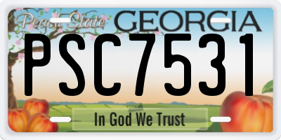 GA license plate PSC7531