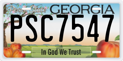 GA license plate PSC7547