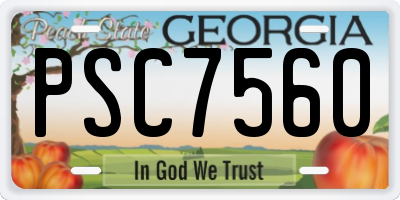 GA license plate PSC7560