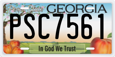 GA license plate PSC7561