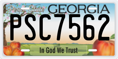 GA license plate PSC7562