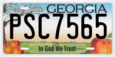GA license plate PSC7565