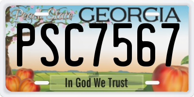 GA license plate PSC7567