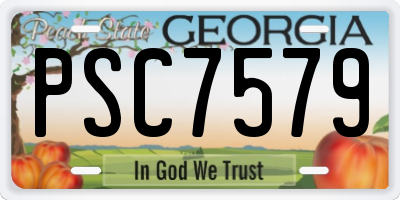 GA license plate PSC7579
