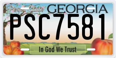 GA license plate PSC7581