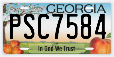 GA license plate PSC7584