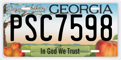 GA license plate PSC7598