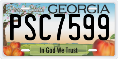 GA license plate PSC7599