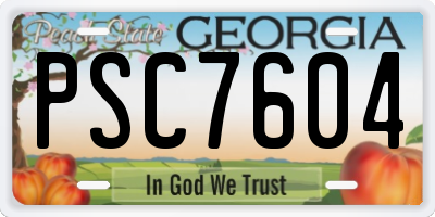 GA license plate PSC7604