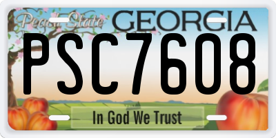 GA license plate PSC7608