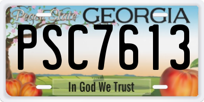 GA license plate PSC7613