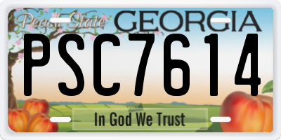 GA license plate PSC7614