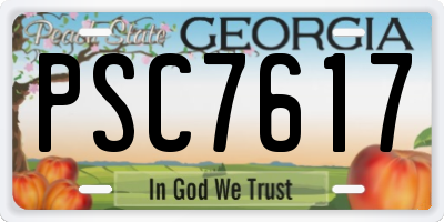 GA license plate PSC7617