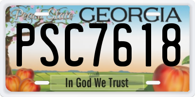 GA license plate PSC7618