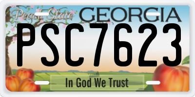GA license plate PSC7623