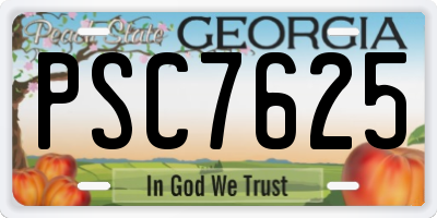 GA license plate PSC7625