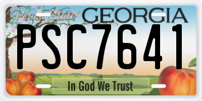 GA license plate PSC7641