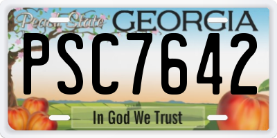 GA license plate PSC7642