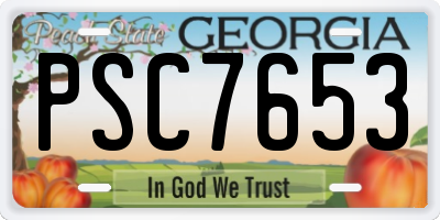 GA license plate PSC7653