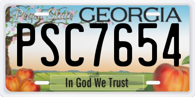 GA license plate PSC7654