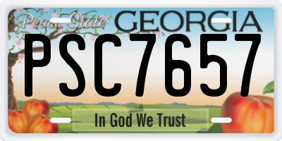 GA license plate PSC7657