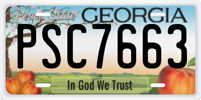 GA license plate PSC7663