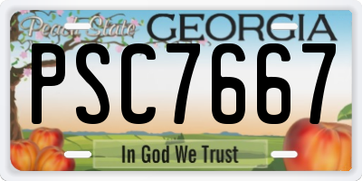 GA license plate PSC7667