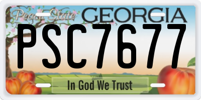 GA license plate PSC7677