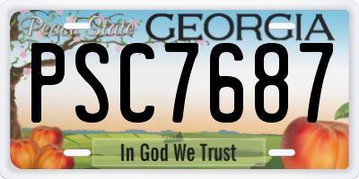 GA license plate PSC7687