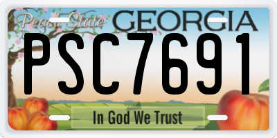 GA license plate PSC7691