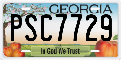 GA license plate PSC7729