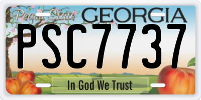 GA license plate PSC7737