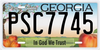 GA license plate PSC7745
