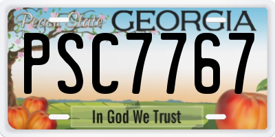 GA license plate PSC7767