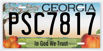 GA license plate PSC7817