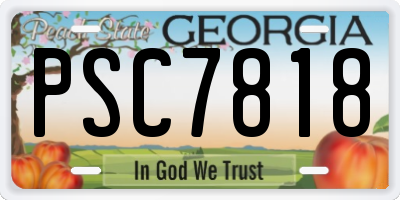 GA license plate PSC7818