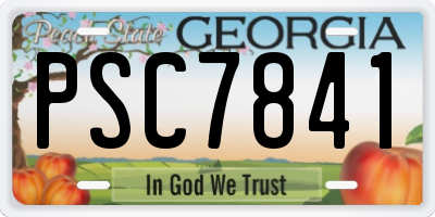 GA license plate PSC7841