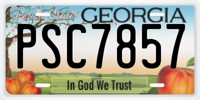 GA license plate PSC7857