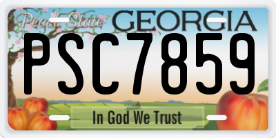 GA license plate PSC7859