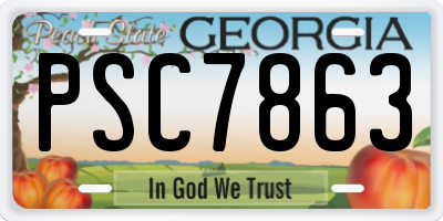GA license plate PSC7863