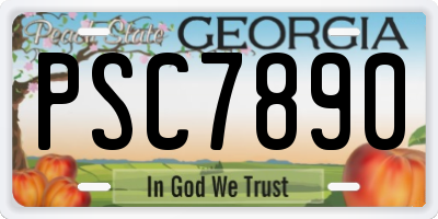 GA license plate PSC7890
