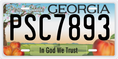 GA license plate PSC7893