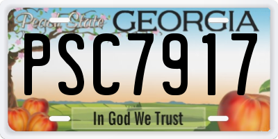 GA license plate PSC7917